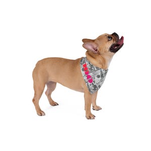 Hundred Dollar Bill Pet Bandana | Designer Dog Swag