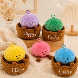 May include: Five plush pumpkin-shaped toys with smiling faces, each featuring a small loop on top and brown dangling legs. Four of the pumpkins sit inside brown woven baskets embroidered with the names Poppy, Noah, Ellie, and Luca.