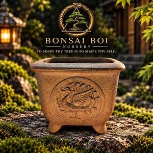 May include: A square, brown, textured ceramic bonsai pot with a wide rim and four small feet. The front face features a circular relief carving of a mythical bird. Above the pot, the text reads BONSAI BOI NURSERY TO SHAPE THY TREE IS TO SHAPE THY SELF.
