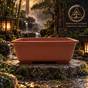 May include: A rectangular terracotta bonsai pot with a smooth, matte finish and a wide, flat rim. The pot features a deep basin and is supported by small, integrated feet at the base, presenting a simple, functional design for plant cultivation.