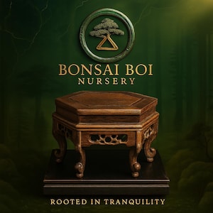 Hex of Harmony | 6.5” Carved Wooden Bonsai Display Stand | Hexagonal Pedestal for Bonsai Pots and trees