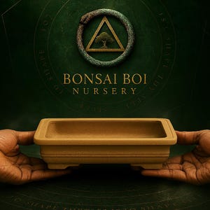 Sanctum Terra – 8.5" Unglazed Bonsai Pot | Rectangular Clay Training Pot for Shohin & Mame Trees | Bonsai Boi Nursery