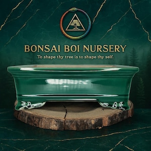 May include: A rectangular, emerald green bonsai pot with a glossy finish. The pot has decorative feet and sits on a wooden slice. The image includes the text "BONSAI BOI NURSERY" and "To shape thy tree is to shape thy self."