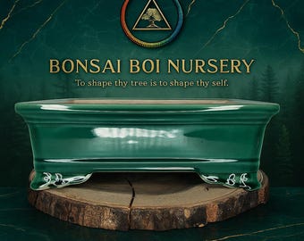 Bacia da Tranquilidade – Vaso de Cerâmica Artesanal para Bonsai de 30 cm | Viveiro de Bois de Bonsai Vaso Sagrado