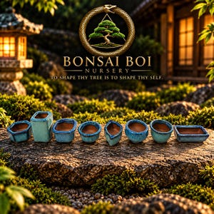 May include: A collection of eight small ceramic bonsai pots in various shapes and sizes, featuring a glossy turquoise and blue glaze with terracotta interiors, arranged in a row on a textured stone surface under a Bonsai Boi Nursery logo.