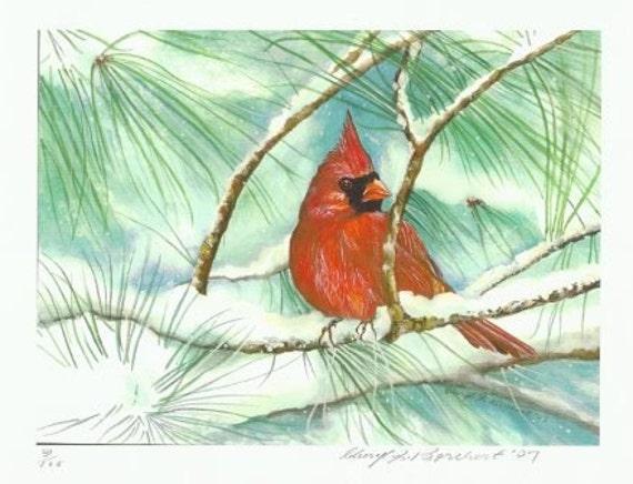 Winter Cardinal Print