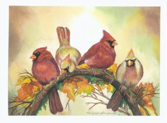 Cardinal Feathered Friends