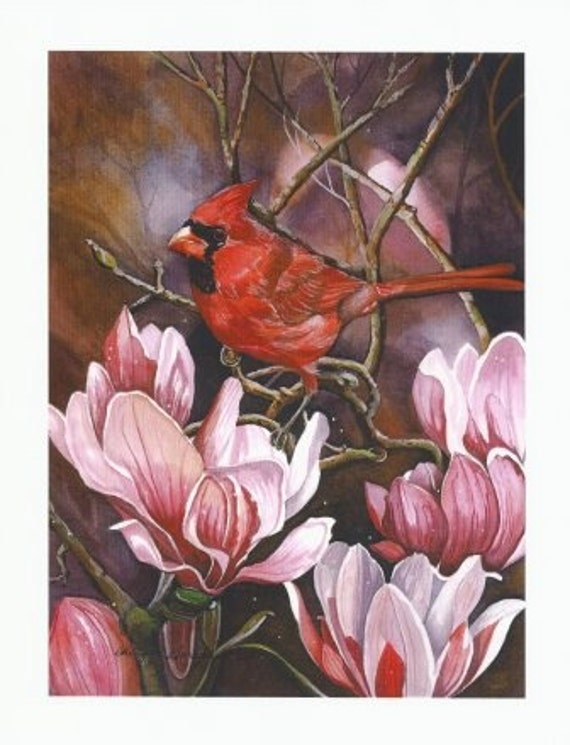 Magnolia Cardinal