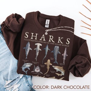 K&ouml;nnte beinhalten: Ein dunkel schokoladenbraunes Sweatshirt mit Rundhalsausschnitt und einem Grafikdruck mit der Aufschrift SHARKS ILLUSTRATED SPECIES OF THE OCEAN WORLD. Das Design zeigt verschiedene Haiarten mit Beschriftungen wie Wei&szlig;er Hai und Hammerhai.