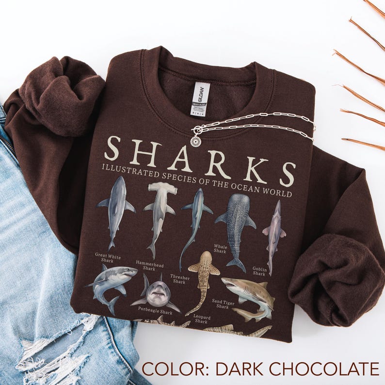 K&ouml;nnte beinhalten: Ein dunkel schokoladenbraunes Sweatshirt mit Rundhalsausschnitt und einem Grafikdruck mit der Aufschrift SHARKS ILLUSTRATED SPECIES OF THE OCEAN WORLD. Das Design zeigt verschiedene Haiarten mit Beschriftungen wie Wei&szlig;er Hai und Hammerhai.