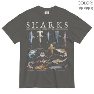 May include: A pepper-colored t-shirt featuring a graphic print titled SHARKS ILLUSTRATED SPECIES OF THE OCEAN WORLD. The design displays various shark species including the Great White, Hammerhead, Thresher, Whale, Goblin, Porbeagle, Sand Tiger, Frilled, Port Jackson, Leopard, Zebra, Spotted Wobbegong, and Greenland shark.