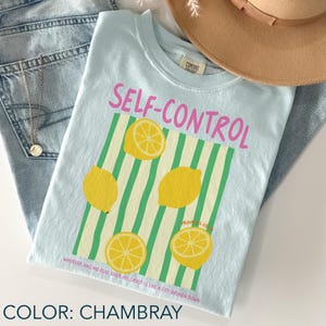 May include: A light blue t-shirt with the words "SELF-CONTROL" in pink, and yellow lemons on green and white stripes. The shirt also has the text "PROVERBS 25" and "WHOEVER HAS NO RULE OVER HIS SPIRIT IS LIKE A CITY BROKEN DOWN".