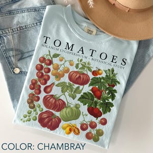 May include: Light blue chambray t-shirt with a botanical illustration of various tomatoes, including red, yellow, and green varieties. The word "TOMATOES" is printed at the top, with "SOLANUM LYCOPERSICUM - BOTANICAL STUDY" below. A tan hat and a silver necklace are also visible.