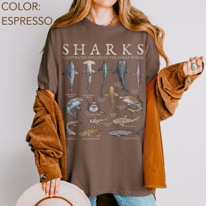 May include: An espresso-colored t-shirt featuring a graphic print titled SHARKS ILLUSTRATED SPECIES OF THE OCEAN WORLD. The design displays various shark species including the Great White, Hammerhead, Whale Shark, and others with their names printed below.