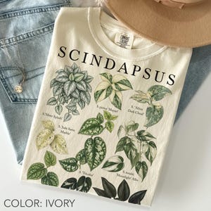 以下が含まれることがあります： SCINDAPSUSという文字と、S. Silver Splash、S. pictus Mayari、S. Silver Dark Cloud、S. Jade Satin Marble、S. Tricolor、S. treubii Moonlight Alboを含む様々なスキンダプサスの植物の植物画が描かれたアイボリー色のTシャツ。