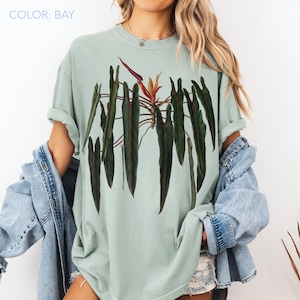 May include: A bay-colored short-sleeve t-shirt featuring a central graphic print of a botanical plant with long, dark green, pointed leaves and a single reddish-orange flower bud at the top. The text "COLOR: BAY" is printed in the top left corner.