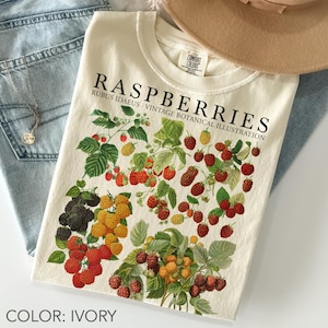 Op de afbeelding: Ivoor t-shirt met een vintage botanische illustratie van frambozen. Het ontwerp toont rode, gele en zwarte frambozen met groene bladeren. De tekst "RASPBERRIES" en "RUBUS IDAEUS - VINTAGE BOTANICAL ILLUSTRATION" is op het shirt gedrukt.