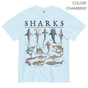 May include: A light blue t-shirt featuring a graphic print titled SHARKS ILLUSTRATED SPECIES OF THE OCEAN WORLD. The design displays various shark species including the Great White, Hammerhead, Whale Shark, and others, each labeled with its common name.