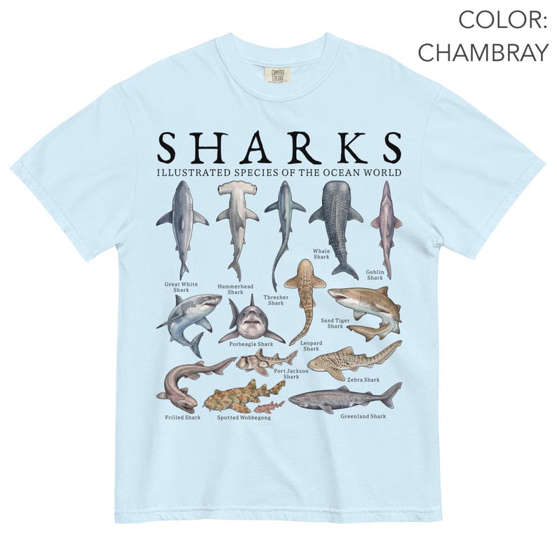 May include: A light blue t-shirt featuring a graphic print titled SHARKS ILLUSTRATED SPECIES OF THE OCEAN WORLD. The design displays various shark species including the Great White, Hammerhead, Whale Shark, and others, each labeled with its common name.