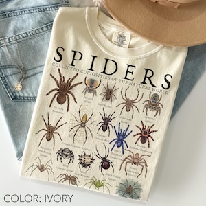 Könnte beinhalten: Ein elfenbeinfarbenes T-Shirt mit dem Text SPIDERS COLLECTED CURIOSITIES OF THE NATURAL WORLD und detaillierten Illustrationen verschiedener Spinnenarten, darunter die Goliath-Vogelspinne, Pfauenspinne, Wolfspinne und Schwarze Witwe.