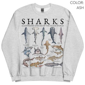 K&ouml;nnte beinhalten: Ein aschgraues Sweatshirt mit Rundhalsausschnitt und einem Grafikdruck mit der Aufschrift SHARKS ILLUSTRATED SPECIES OF THE OCEAN WORLD. Das Design zeigt verschiedene Haiarten mit ihren Namen, darunter Wei&szlig;er Hai und Hammerhai.