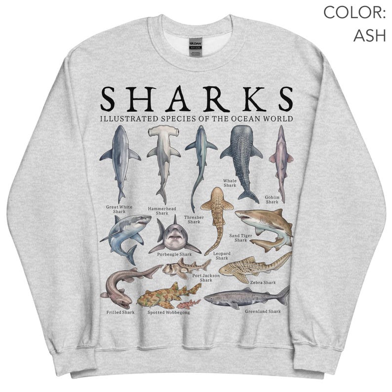 K&ouml;nnte beinhalten: Ein aschgraues Sweatshirt mit Rundhalsausschnitt und einem Grafikdruck mit der Aufschrift SHARKS ILLUSTRATED SPECIES OF THE OCEAN WORLD. Das Design zeigt verschiedene Haiarten mit ihren Namen, darunter Wei&szlig;er Hai und Hammerhai.