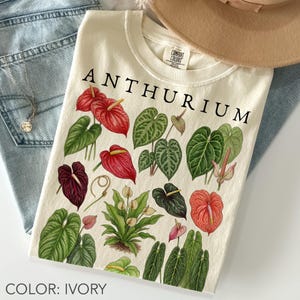 Ivory Comfort Colors unisex oversized t-shirt featuring a vintage botanical anthurium chart design with colorful heart-shaped tropical flowers, green houseplant leaves, red and pink blooms, and detailed plant lover artwork.