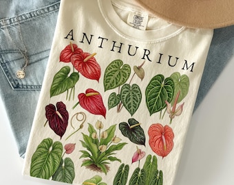 Anthurium veitchii Starter Plant (ALL STARTER PLANTS require you