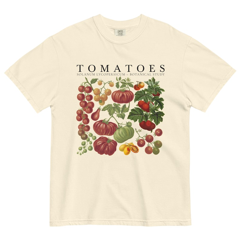 May include: Cream-colored t-shirt featuring a botanical illustration of various tomatoes. The design includes red, yellow, and green tomatoes, with the word "TOMATOES" and "SOLANUM LYCOPERSICUM - BOTANICAL STUDY" printed above the illustration.
