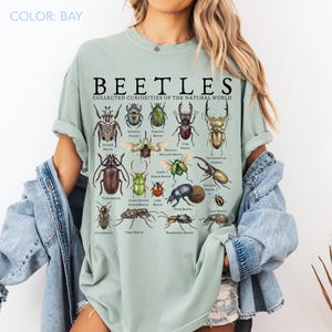 Puede incluir: Una camiseta verde claro con la palabra "BEETLES" y la frase "COLLECTED CURIOSITIES OF THE NATURAL WORLD" impresa. La camiseta presenta ilustraciones de varios escarabajos, incluidos los escarabajos Goliat, Tit&aacute;n y Ciervo. La camiseta es de corte holgado.