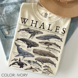 Może przedstawiać: Koszulka w kolorze kości słoniowej z czarnym nadrukiem graficznym zatytułowanym WHALES ILLUSTRATED SPECIES OF THE OCEAN WORLD. Wzór przedstawia różne gatunki wielorybów, w tym humbaki, płetwale błękitne, wale biskajskie, narwale i kaszaloty.