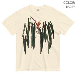May include: An ivory short-sleeve t-shirt featuring a central botanical illustration of a philodendron plant with long, dark green, pointed leaves and a single reddish-orange flower bud at the top center. The text COLOR: IVORY appears in the top right.