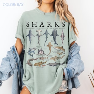 May include: A bay-colored t-shirt featuring a graphic print titled SHARKS ILLUSTRATED SPECIES OF THE OCEAN WORLD. The design displays various shark species with their names printed underneath, including Great White, Hammerhead, and Whale Shark.