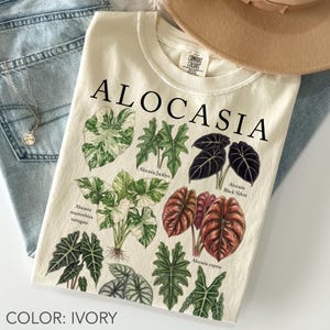 May include: An ivory t-shirt featuring the text ALOCASIA and botanical illustrations of various Alocasia plant species, including Alocasia Jacklyn, Alocasia Black Velvet, Alocasia macrorrhiza variegata, and Alocasia cuprea, with their names printed below.