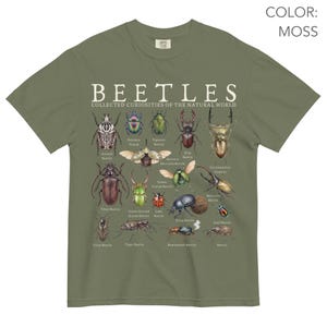 Puede incluir: Camiseta verde musgo con una ilustraci&oacute;n detallada de varios escarabajos. La camiseta muestra la palabra "BEETLES" encima de la frase "COLLECTED CURIOSITIES OF THE NATURAL WORLD". El dise&ntilde;o incluye especies de escarabajos coloridos con sus nombres.