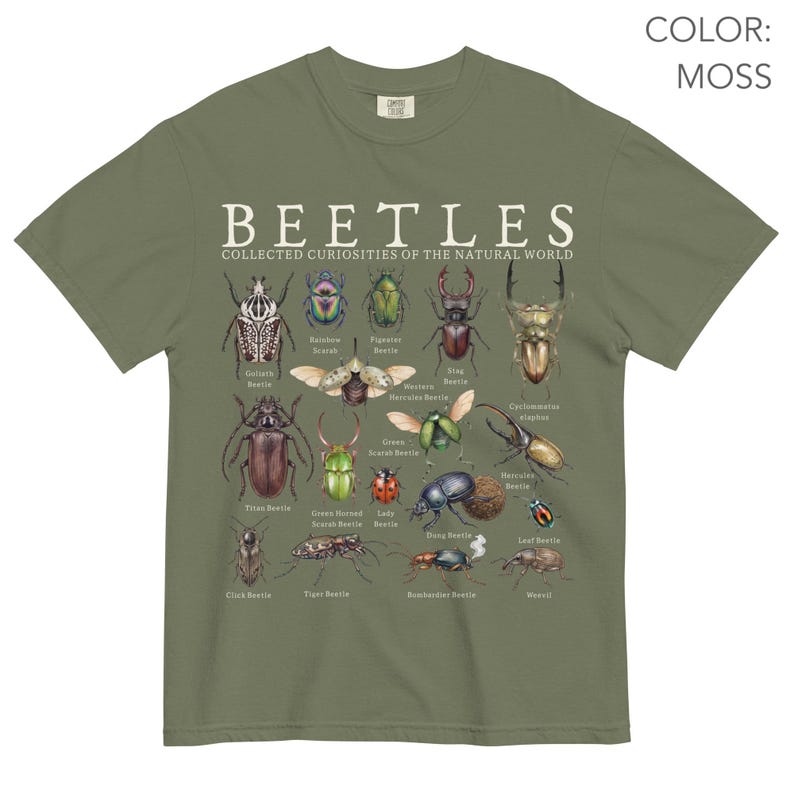 Puede incluir: Camiseta verde musgo con una ilustraci&oacute;n detallada de varios escarabajos. La camiseta muestra la palabra "BEETLES" encima de la frase "COLLECTED CURIOSITIES OF THE NATURAL WORLD". El dise&ntilde;o incluye especies de escarabajos coloridos con sus nombres.