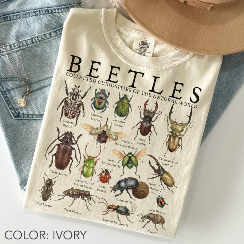 Ivory Comfort Colors t-shirt featuring vintage-style beetle illustrations with labeled species, naturalist entomology graphic tee showcasing various colorful insects in a scientific chart layout