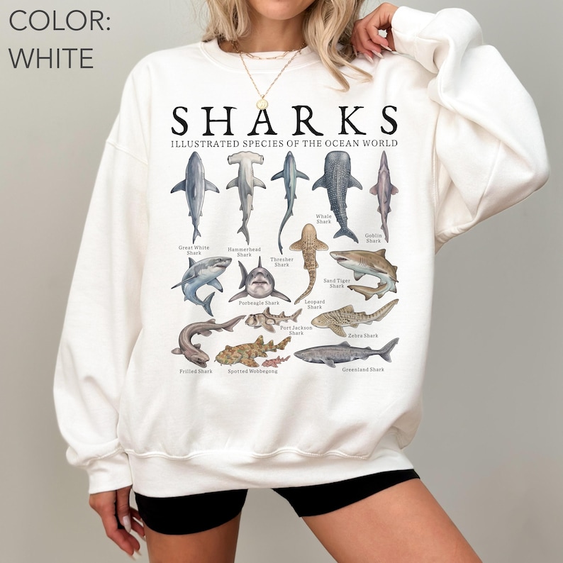 K&ouml;nnte beinhalten: Ein wei&szlig;es Langarm-Sweatshirt mit einem Grafikdruck mit dem Titel SHARKS ILLUSTRATED SPECIES OF THE OCEAN WORLD. Das Design zeigt verschiedene Haiarten mit ihren Namen, darunter der Wei&szlig;e Hai, der Hammerhai und der Fuchshai.