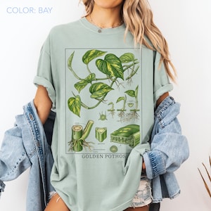 May include: A light green t-shirt featuring a botanical illustration of a Golden Pothos plant. The graphic includes detailed drawings of leaves, stems, and roots, with the words "GOLDEN POTHOS" at the bottom. The shirt's color is "BAY".