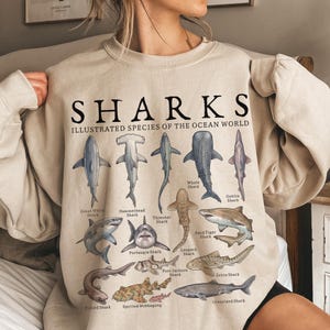 K&ouml;nnte beinhalten: Ein beigefarbenes Sweatshirt mit Rundhalsausschnitt und einem schwarzen Grafikdruck mit der Aufschrift SHARKS ILLUSTRATED SPECIES OF THE OCEAN WORLD. Das Design zeigt verschiedene Haiarten wie den Wei&szlig;en Hai, Hammerhai und Walhai.