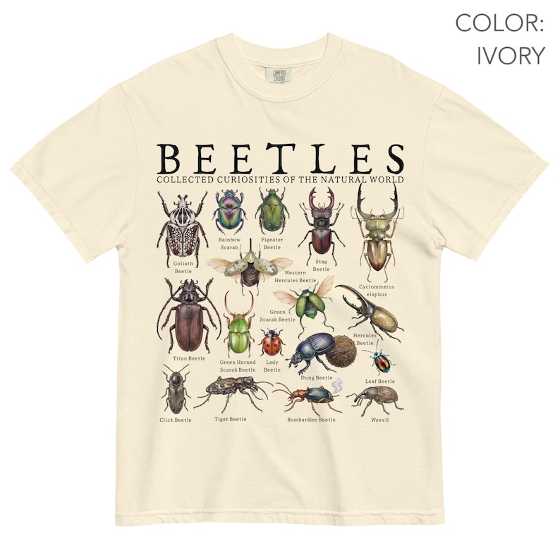 Puede incluir: Camiseta de color marfil con una ilustraci&oacute;n detallada de varios escarabajos, incluyendo Goliat, Escarabajo Arco&iacute;ris y Ciervo Volante. La palabra "BEETLES" est&aacute; impresa encima de las ilustraciones, con el texto "COLLECTED CURIOSITIES OF THE NATURAL WORLD" debajo.