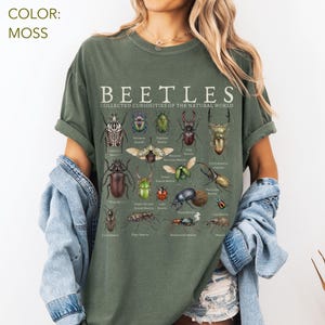 Puede incluir: Camiseta verde musgo con una ilustraci&oacute;n detallada de varios escarabajos con sus nombres. El texto "BEETLES COLLECTED CURIOSITIES OF THE NATURAL WORLD" est&aacute; impreso en la parte superior. La camiseta es de corte holgado.