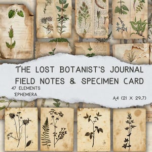 Het dagboek van de verloren botanist | Vintage botanische veldnotities en specimenkaarten | Afdrukbaar ephemera-pakket | Junk Journal-kit | A4-formaat
