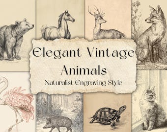 Eleganti animali d&#39;epoca: 42 illustrazioni di animali antichi stampabili | Stile di incisione naturalistica | 5 fogli JPG per journaling e collage
