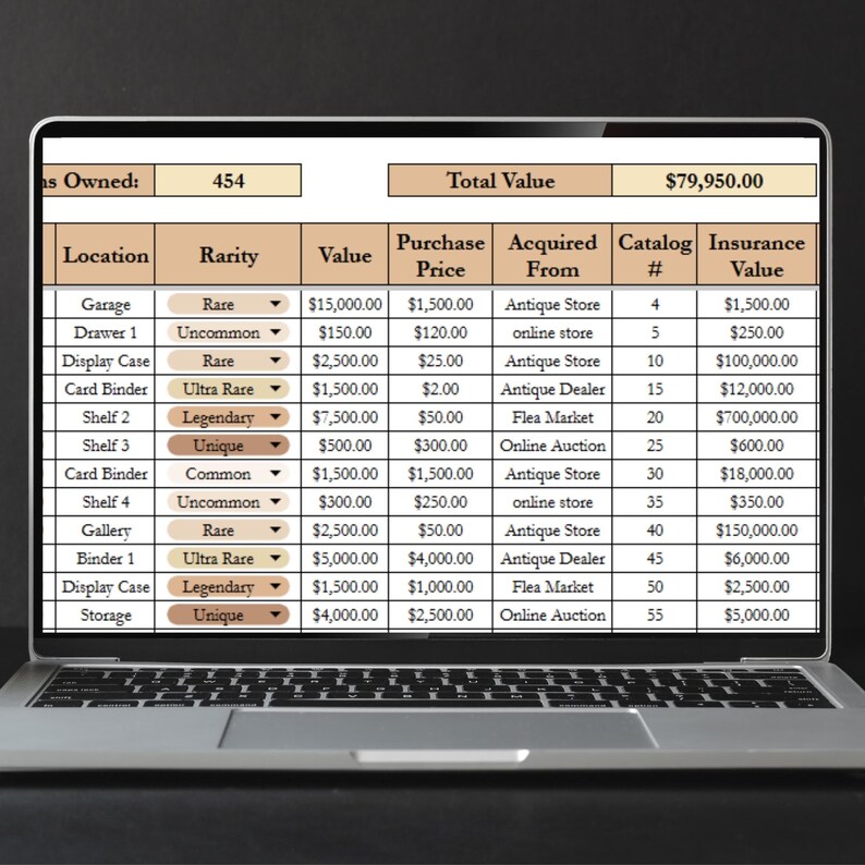 May include: A laptop screen displays a detailed spreadsheet with financial data, including values, purchase prices, and insurance values. The data is organized in columns and rows, with labels like "Location," "Rarity," and "Value."