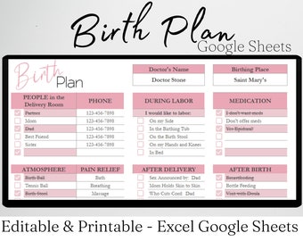 Birth Plan Template Google Sheets, Natural Birthing Plan, Labor and Delivery Birth Preference Editable, Pregnancy Organizer, Hospital Birth