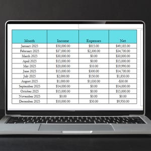 Realtor Bookkeeping, Income and Expenses Tracker Excel Income Tracker Google Sheets Excel, Real Estate Bookkeeping, Real Estate Book Keeping image 10