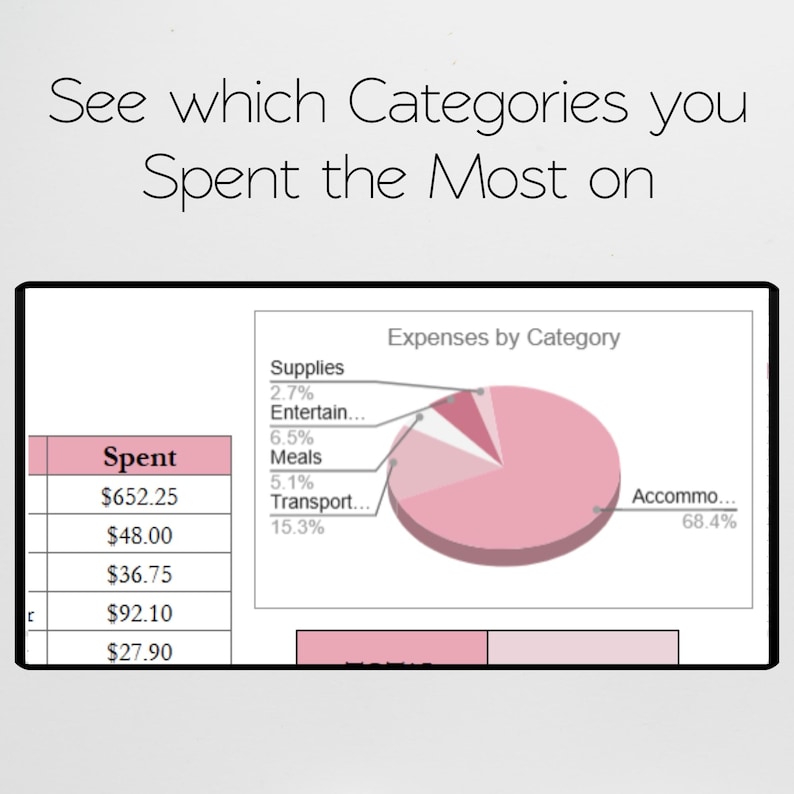 May include: A financial pie chart showing expenses by category, with a pink color scheme. The chart includes percentages for supplies, entertainment, meals, transport, and accommodation. Text at the top reads, "See which Categories you Spent the Most on."