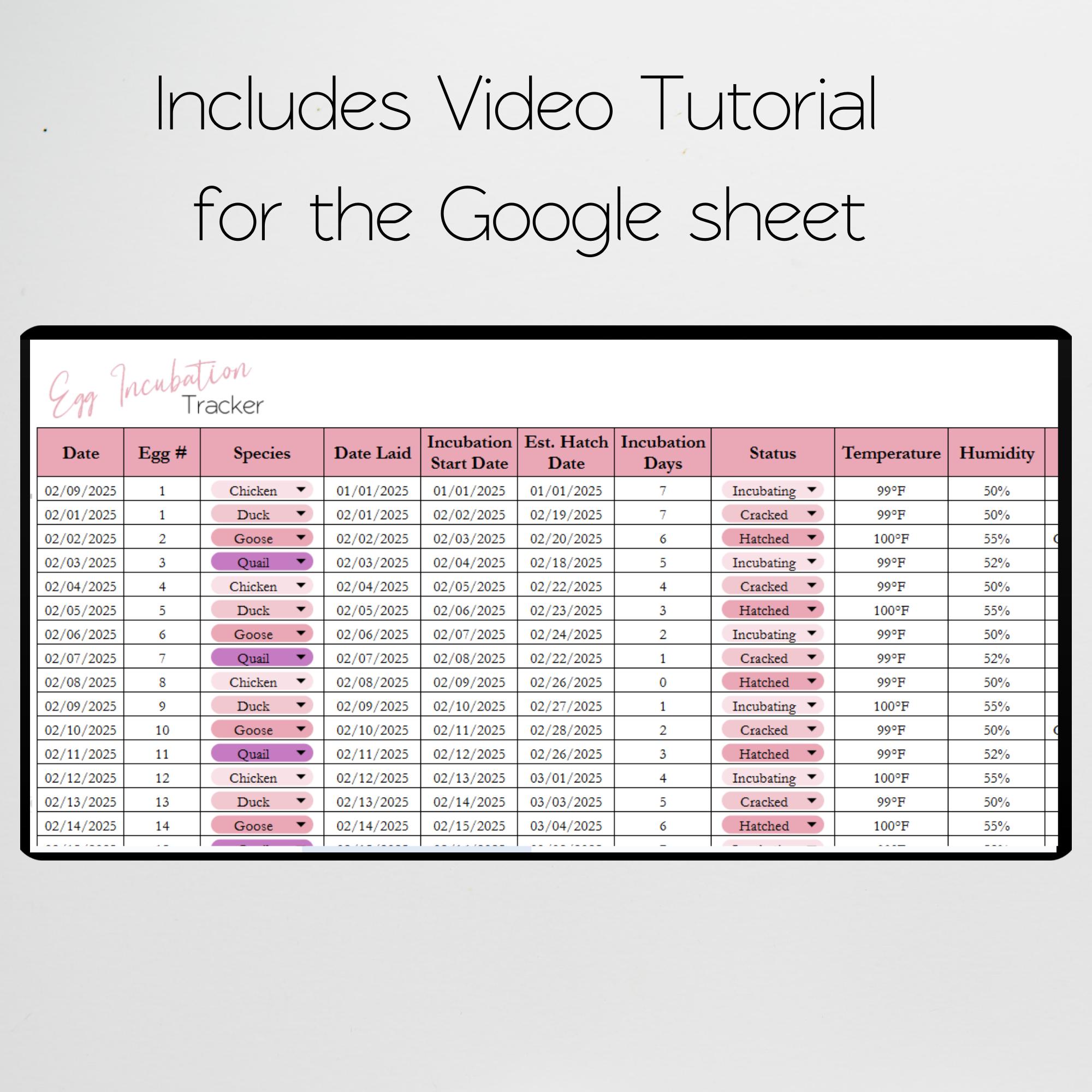 Egg Hatching Tracker, Egg Incubation Google Sheets, Homestead Template ...