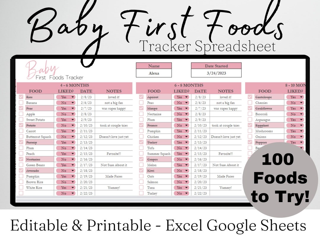 Baby Food Tracker Google Sheets Baby Food Checklist Baby - Etsy